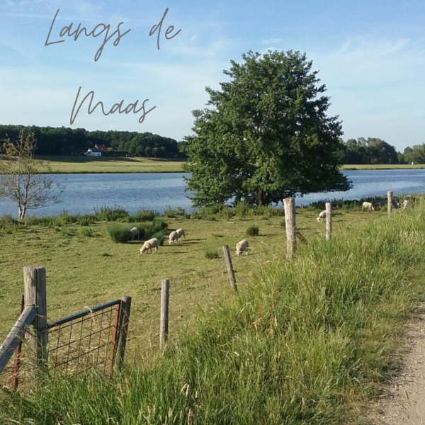 Langs de Maas
